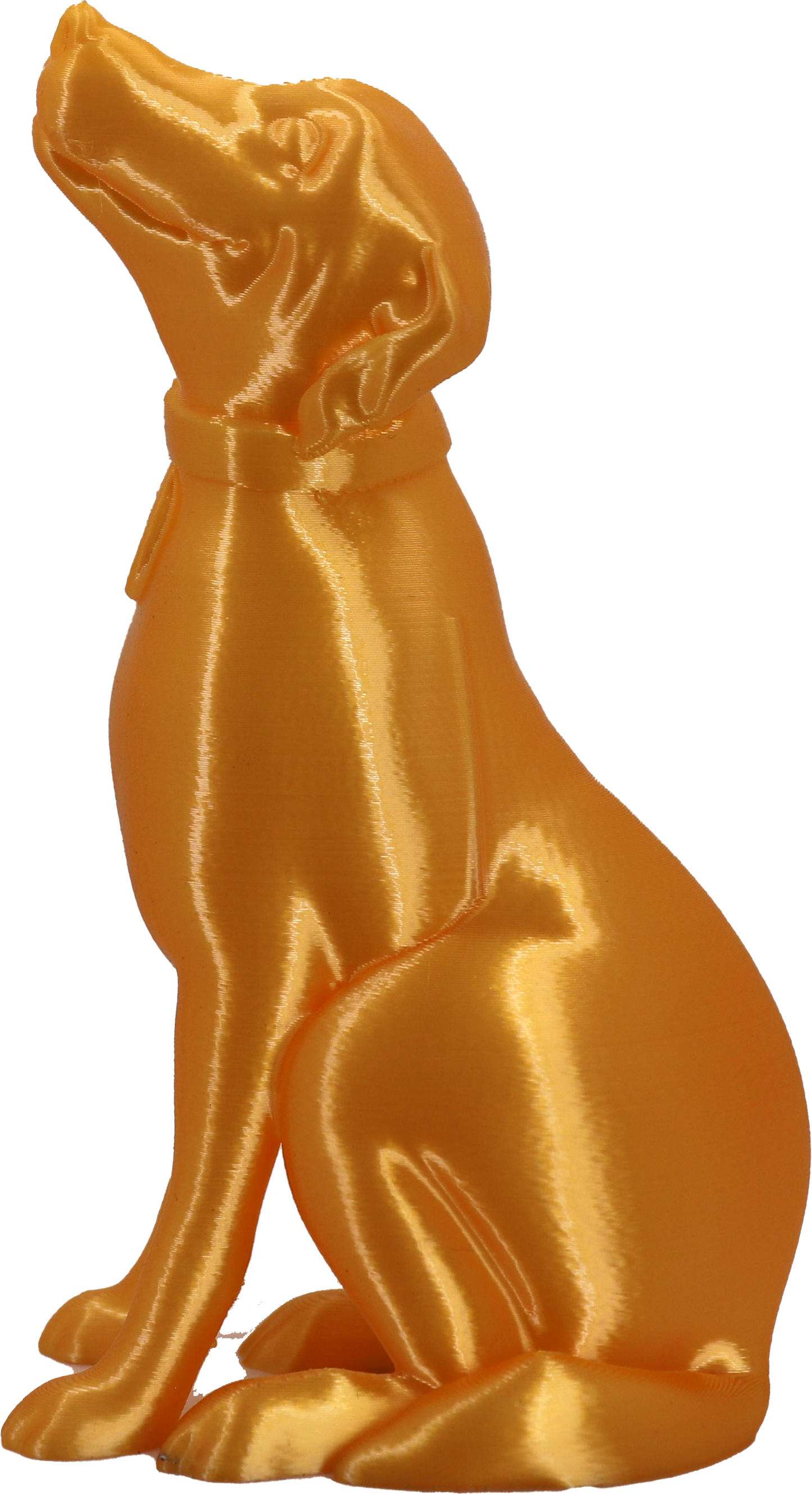 Jessie Premium Elixir 1.75mm X Gold Rush 1kg