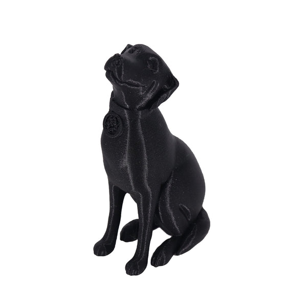 Jessie Premium PETG 1.75mm X Soul Black Glitter 1kg