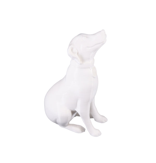 Jessie Premium PETG 1.75mm X White 1kg