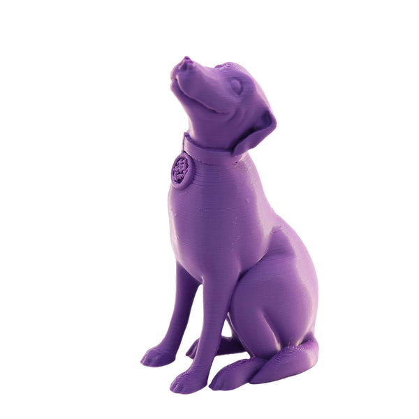 Jessie Premium PLA 1.75mm X Purple Eater 1kg