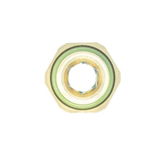 Brass Eisele Liquid Fittings (EOL)