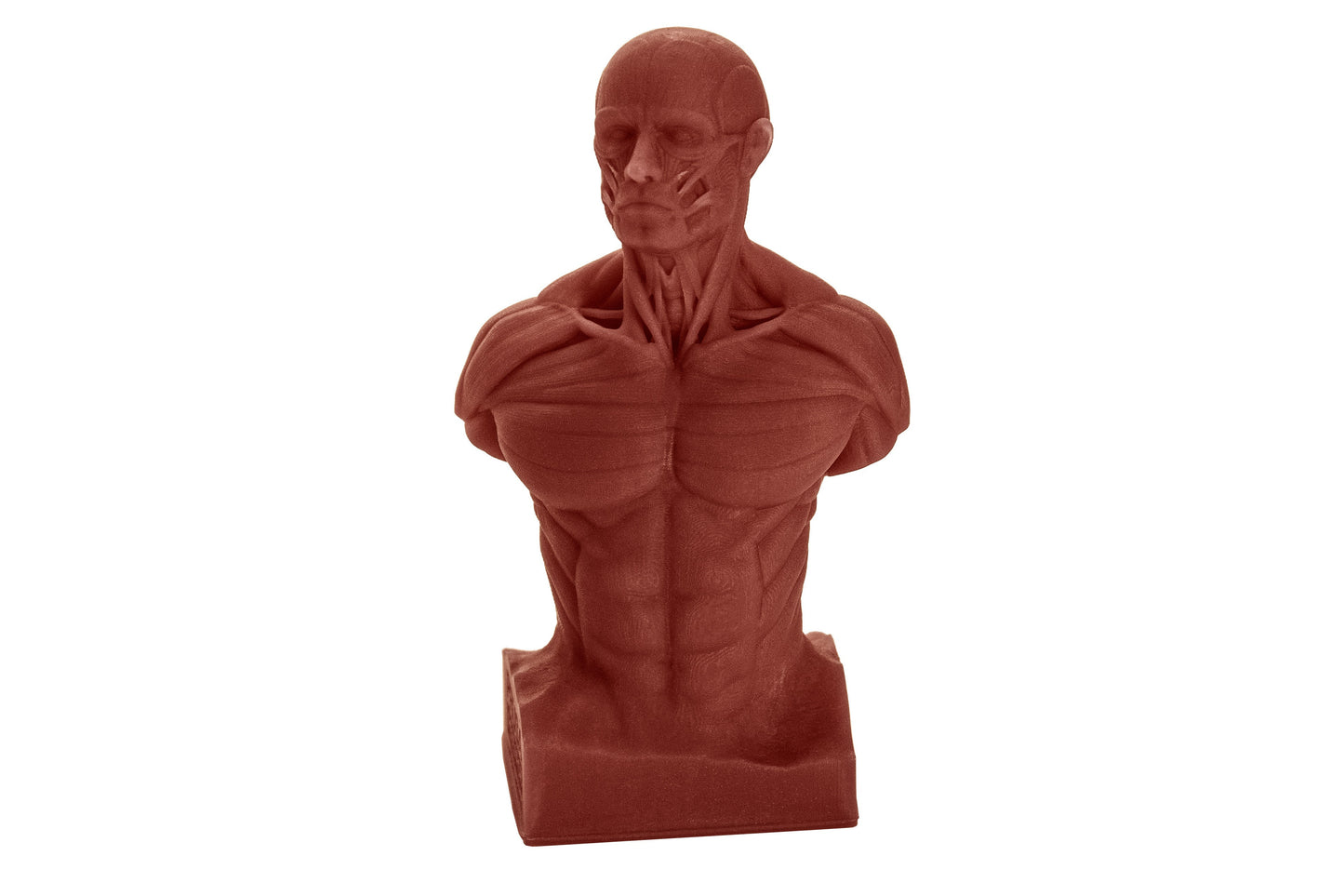 Original Prusa SL1S sample prints