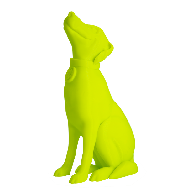 Jessie Premium PLA 1.75mm X Neon Green 1kg