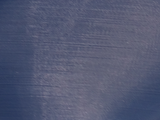 Blue Whale Grey