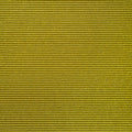 Golden Winner Glitter