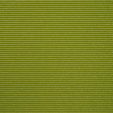 Green Slime Glitter