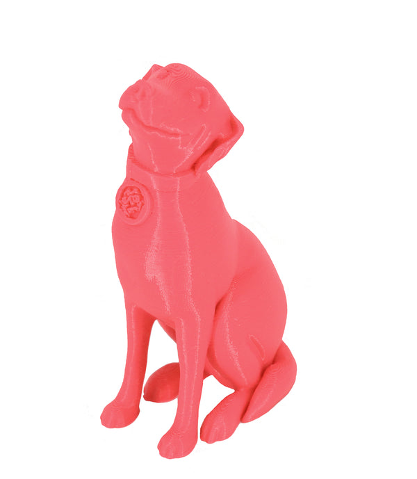 Jessie Premium PLA 1.75mm X Neon Pink 1kg