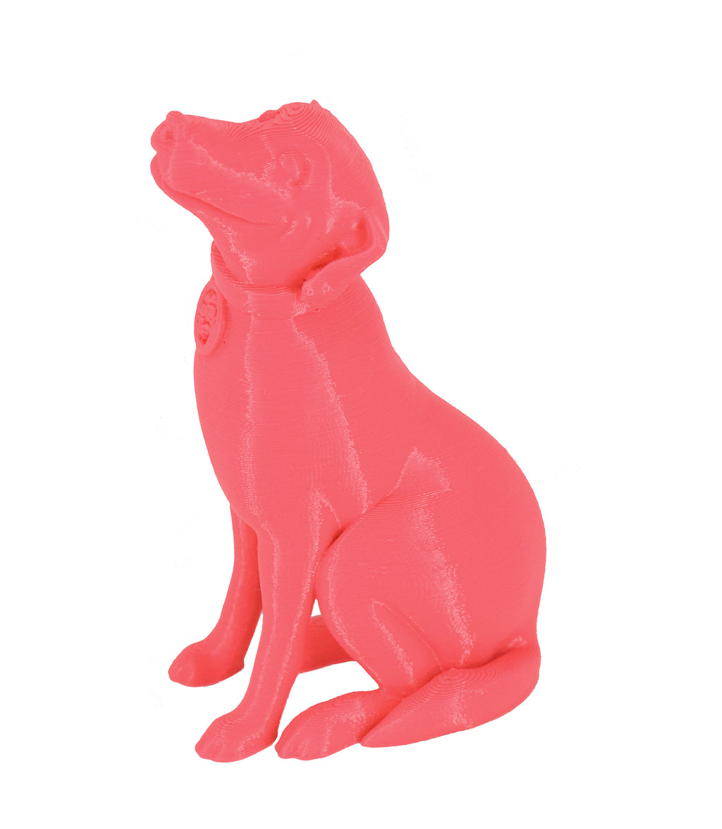 Jessie Premium PLA 1.75mm X Neon Pink 1kg