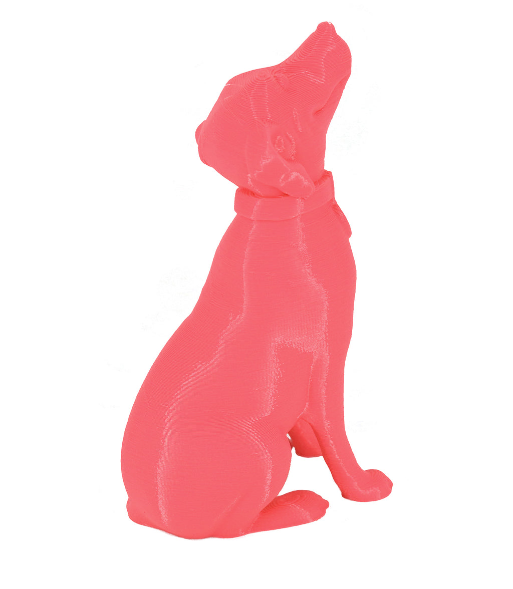 Jessie Premium PLA 1.75mm X Neon Pink 1kg