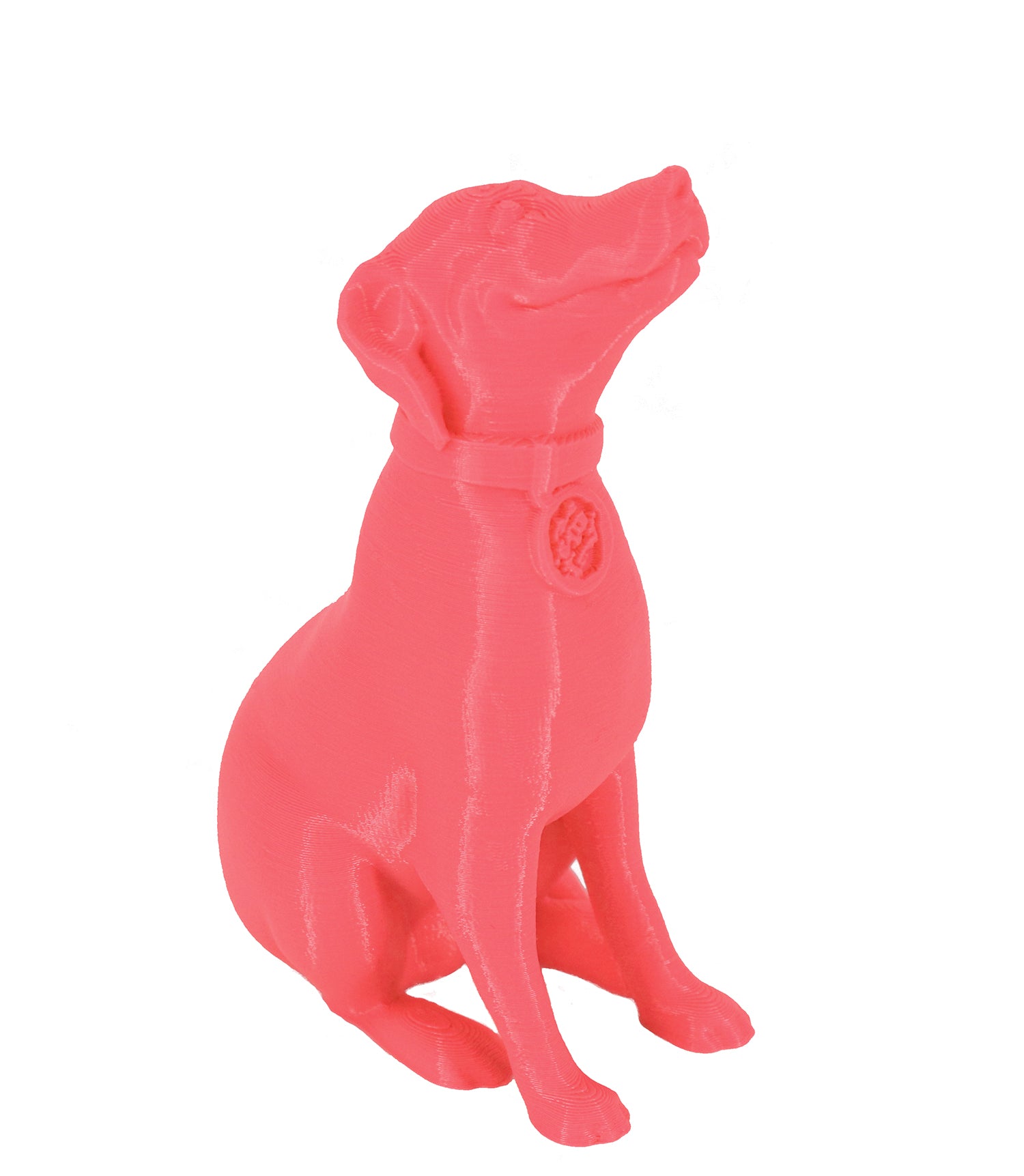 Jessie Premium PLA 1.75mm X Neon Pink 1kg