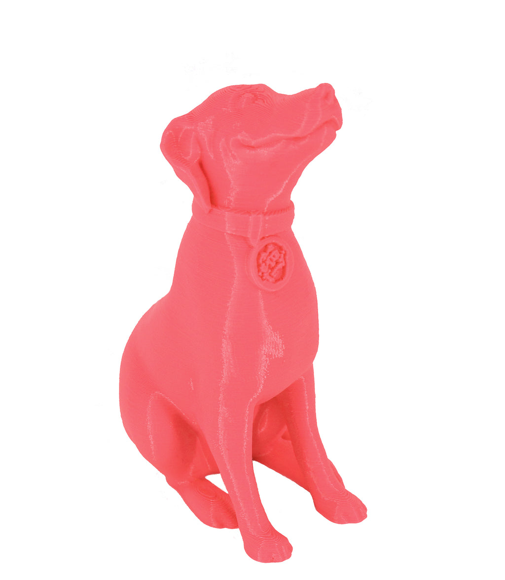 Jessie Premium PLA 1.75mm X Neon Pink 1kg