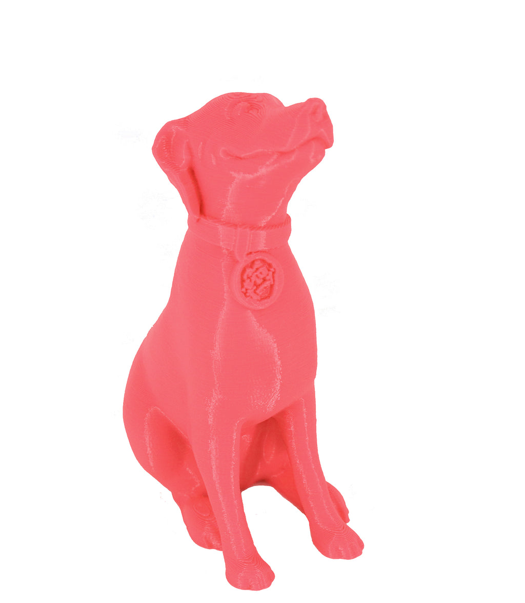 Jessie Premium PLA 1.75mm X Neon Pink 1kg