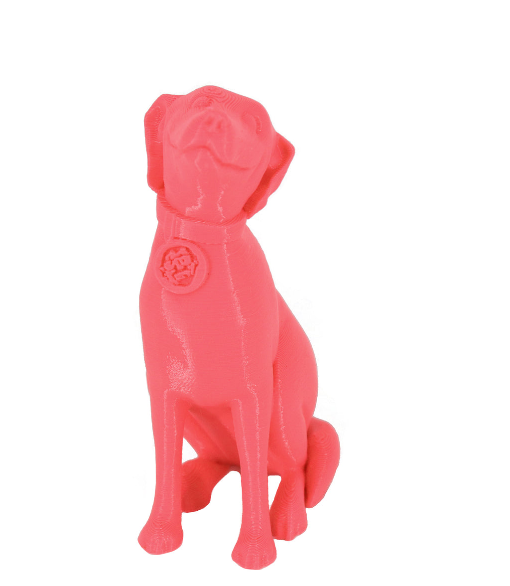 Jessie Premium PLA 1.75mm X Neon Pink 1kg