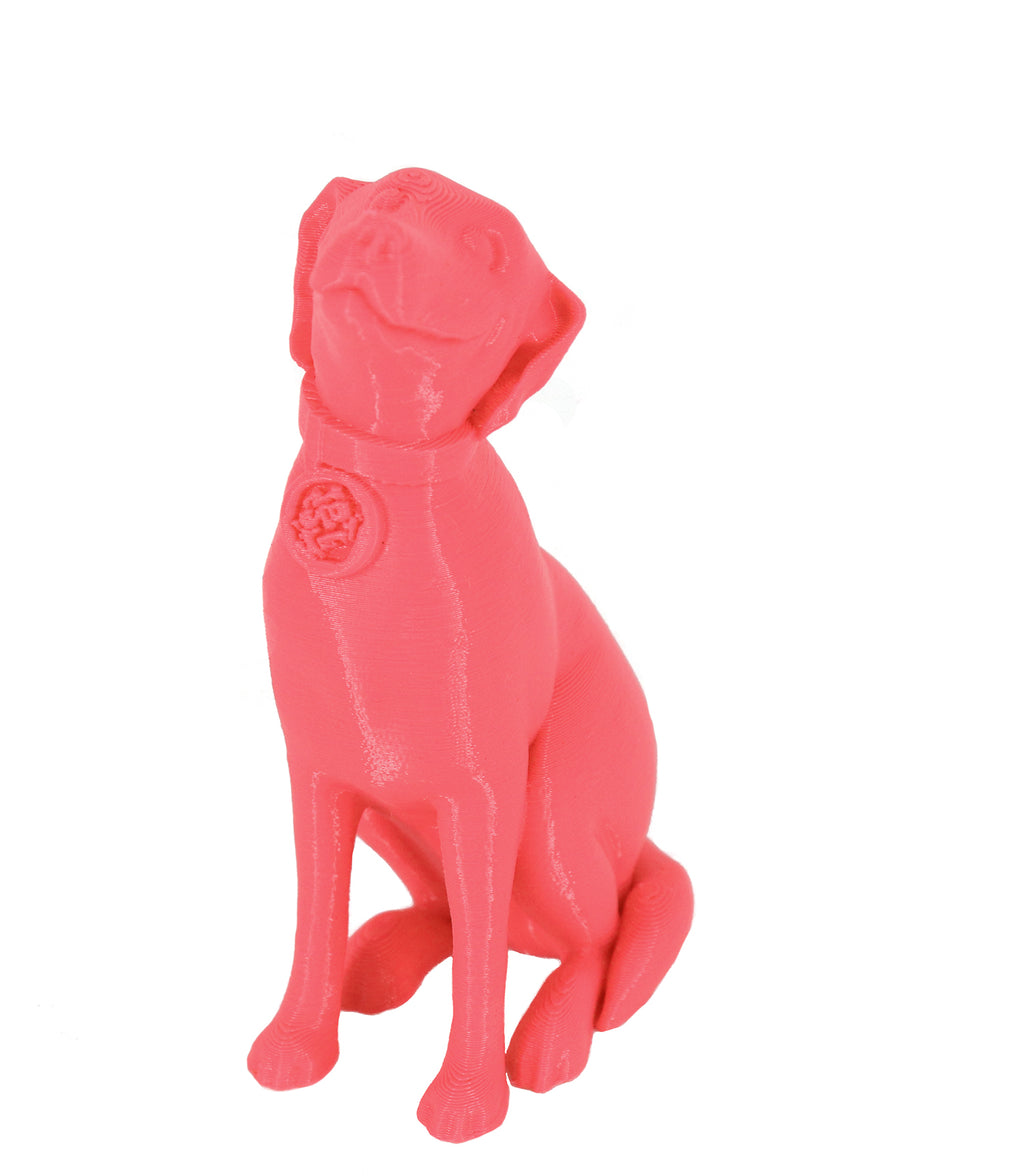 Jessie Premium PLA 1.75mm X Neon Pink 1kg