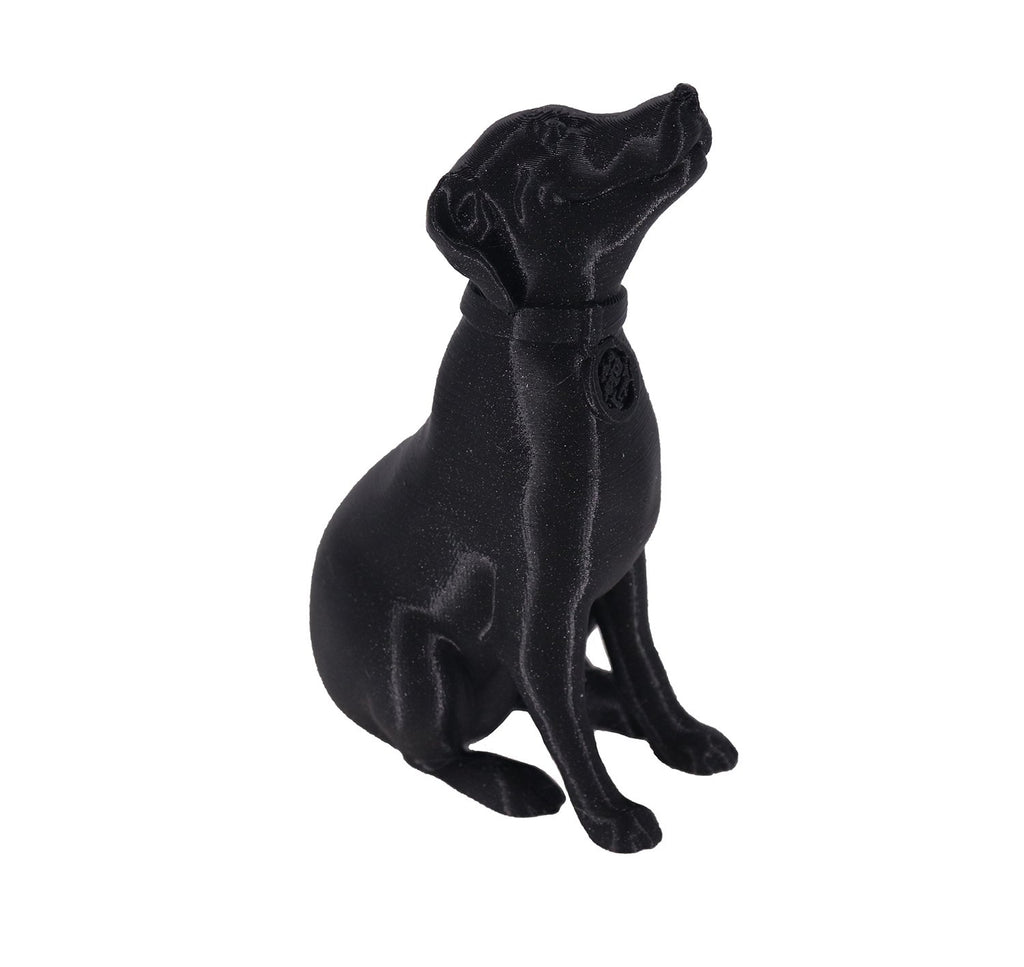 Jessie Premium PETG 1.75mm X Soul Black Glitter 1kg