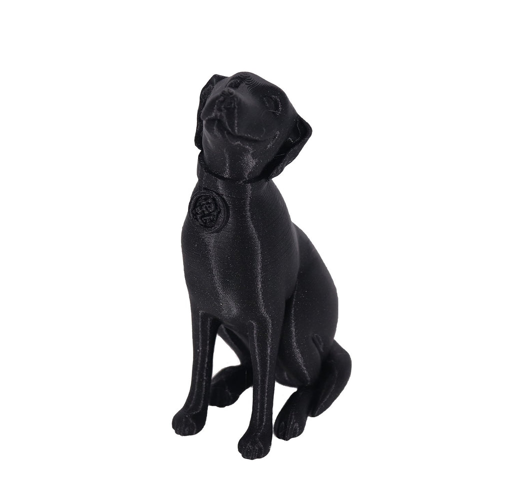 Jessie Premium PETG 1.75mm X Soul Black Glitter 1kg