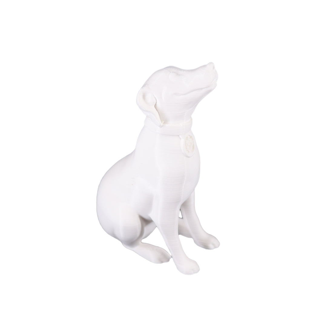 Jessie Premium PLA 1.75mm X White 1kg