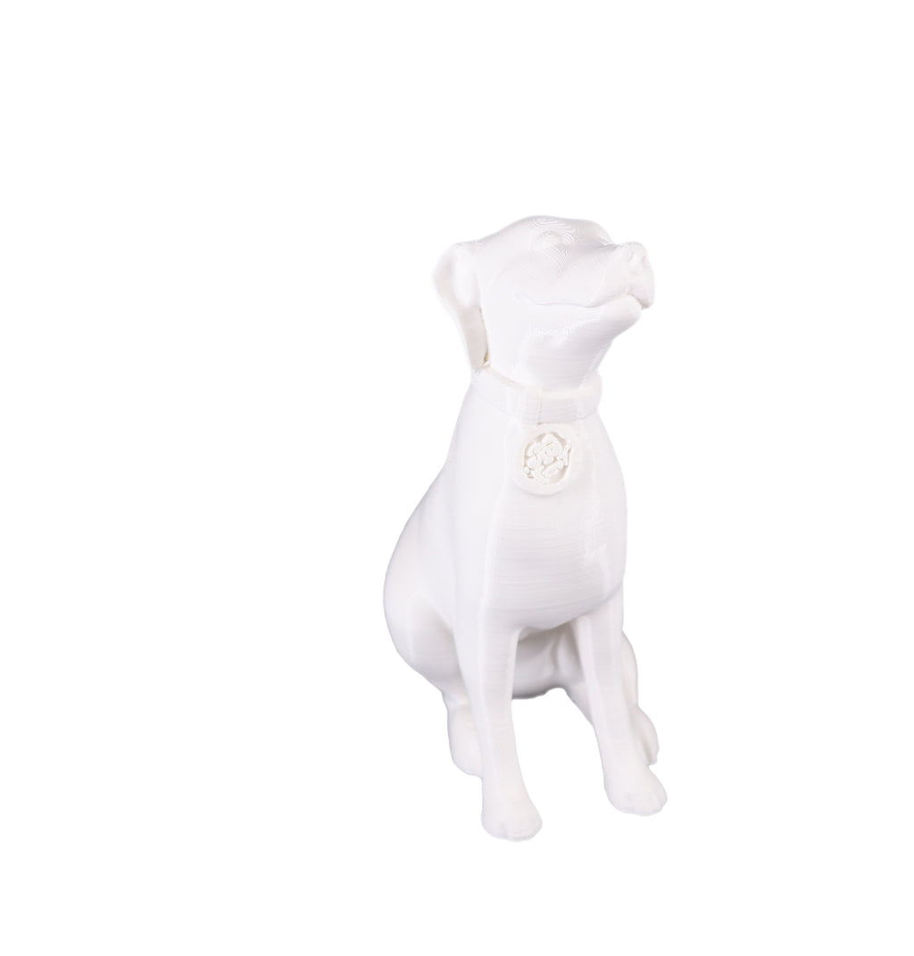 Jessie Premium PLA 1.75mm X White 1kg