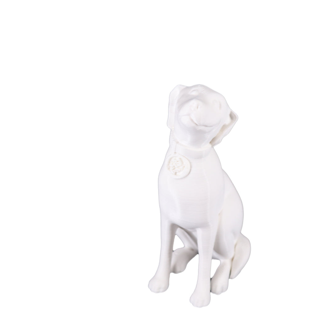 Jessie Premium PLA 1.75mm X White 1kg