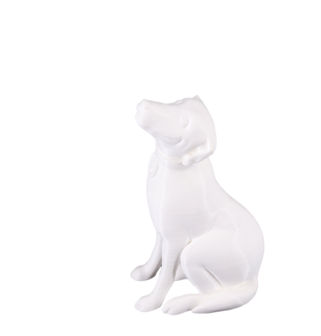 Jessie Premium PLA 1.75mm X White 1kg