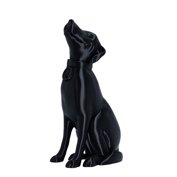 Jessie Premium PETG 1.75mm X Black 1kg