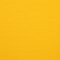 Yellow Bird
