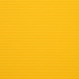 Yellow Bird