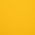 Yellow Bird