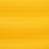 Yellow Bird