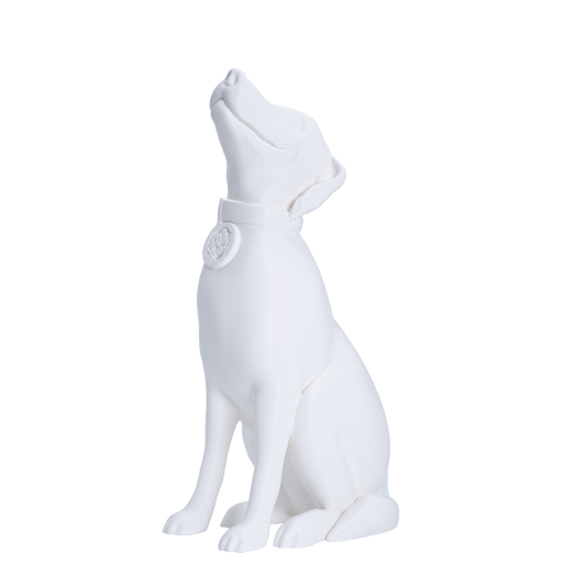 Jessie Premium PLA 1.75mm X White 1kg