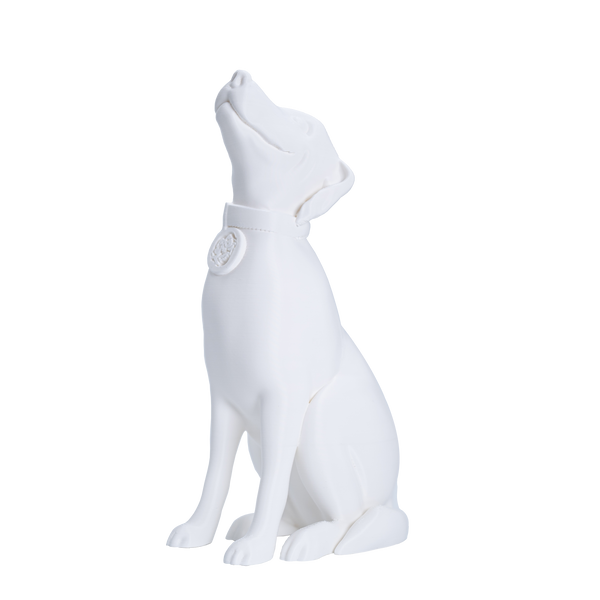 Jessie Premium PETG 1.75mm X White 1kg