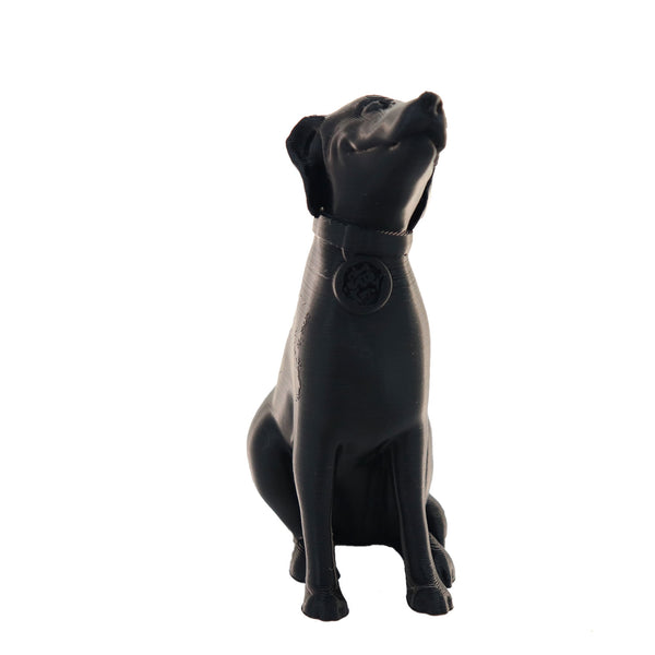 Jessie Premium PETG 1.75mm X Black 1kg
