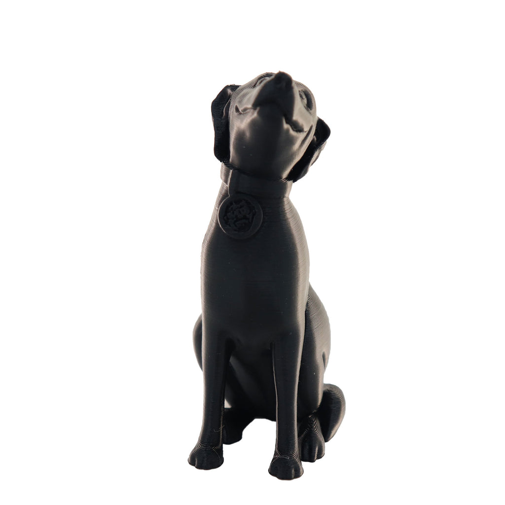 Jessie Premium PETG 1.75mm X Black 1kg