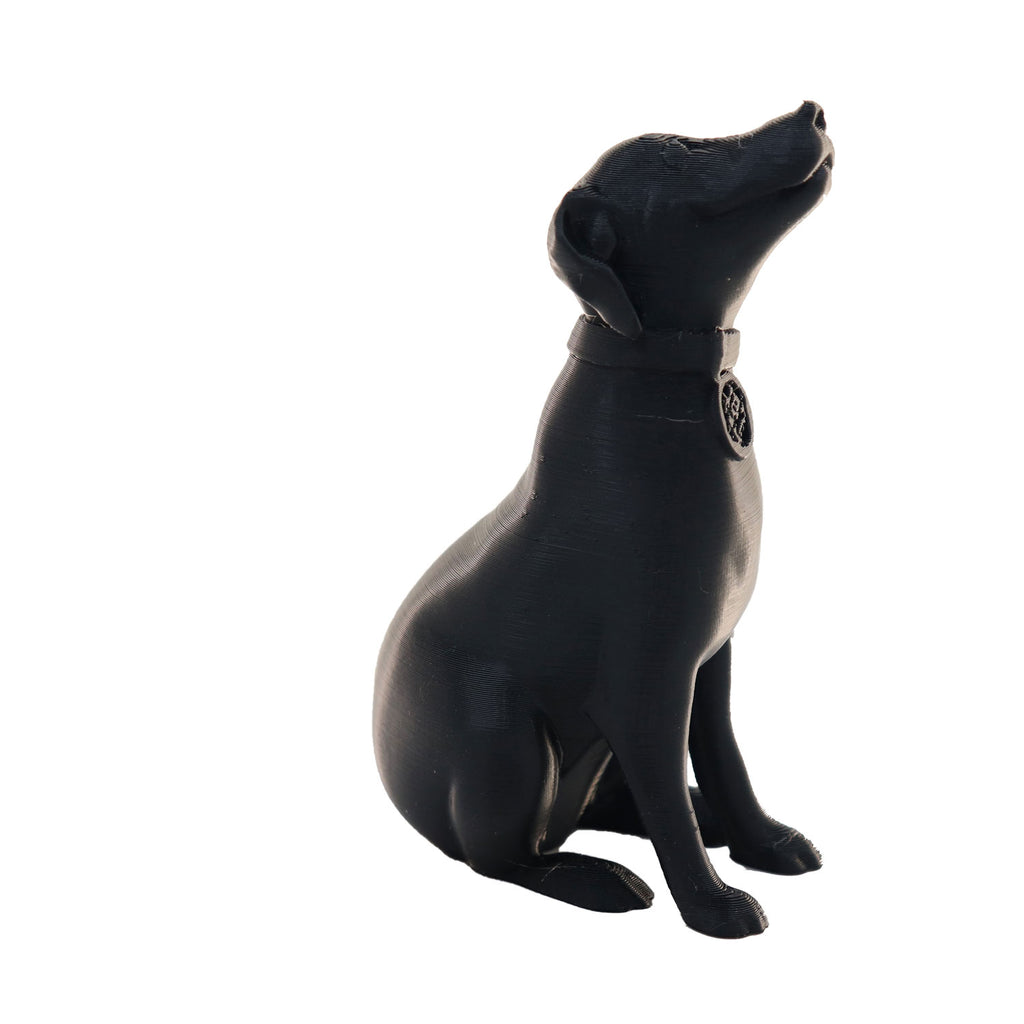 Jessie Premium PETG 1.75mm X Black 1kg