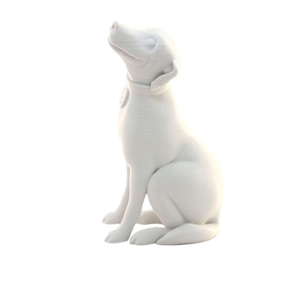 Jessie Premium PLA 1.75mm X Design White 1kg
