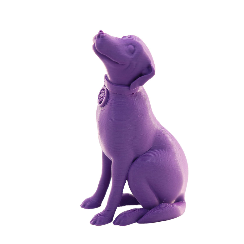 Jessie Premium PLA 1.75mm X Purple Eater 1kg