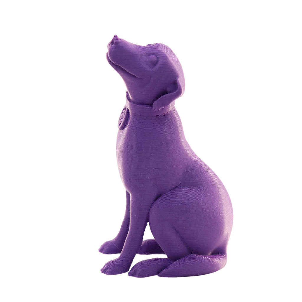 Jessie Premium PLA 1.75mm X Purple Eater 1kg