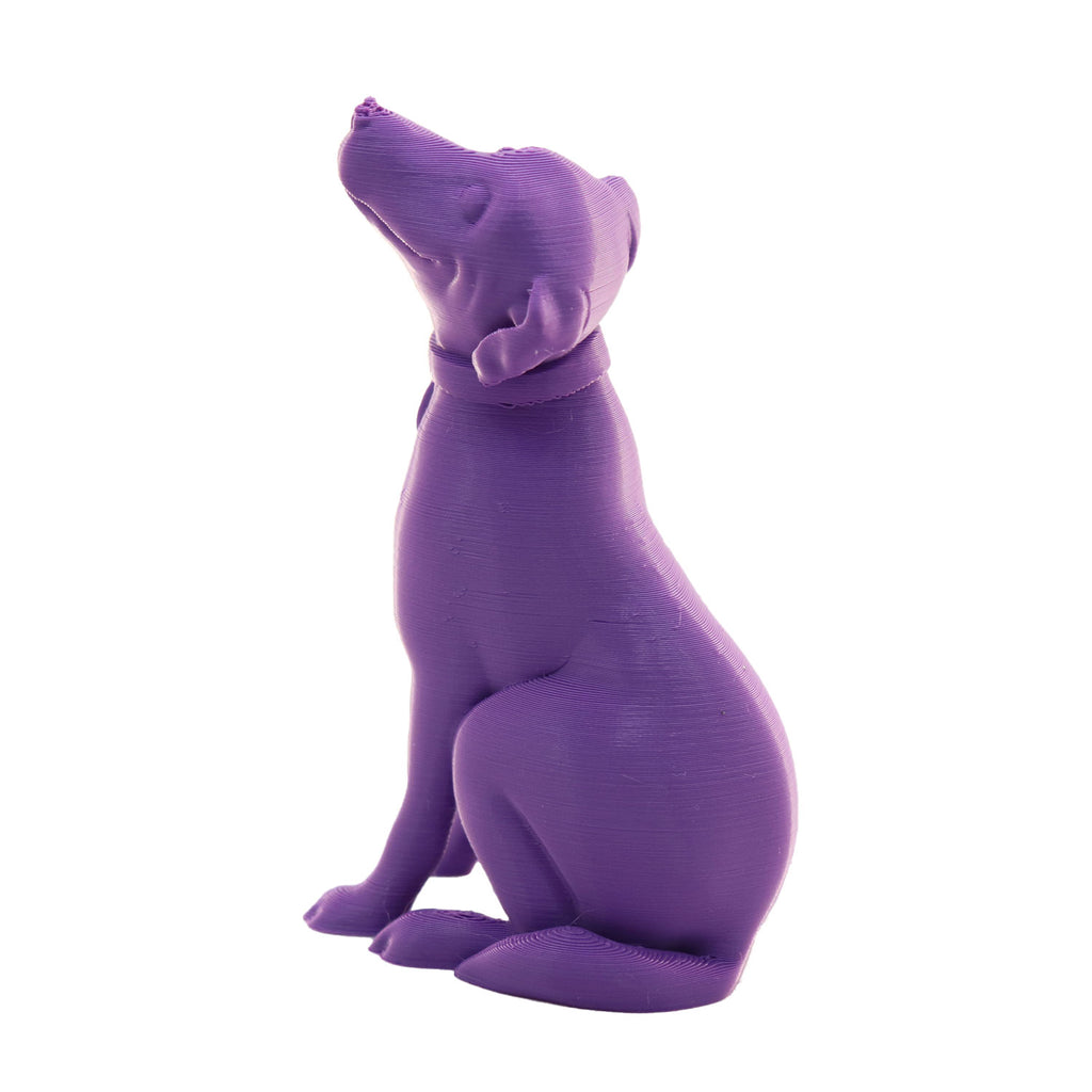Jessie Premium PLA 1.75mm X Purple Eater 1kg