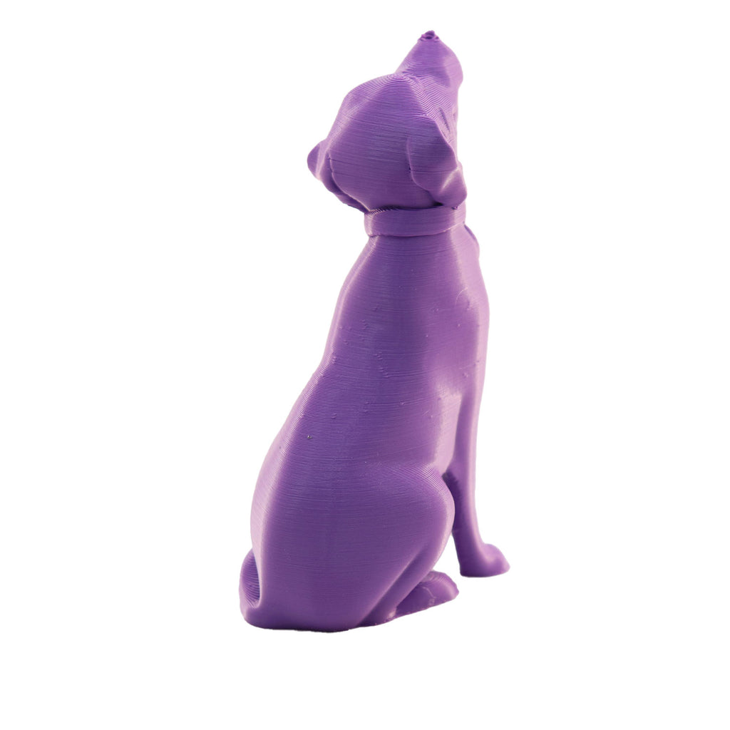Jessie Premium PLA 1.75mm X Purple Eater 1kg