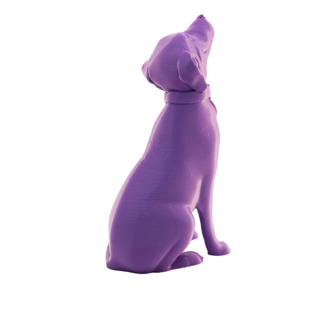 Jessie Premium PLA 1.75mm X Purple Eater 1kg
