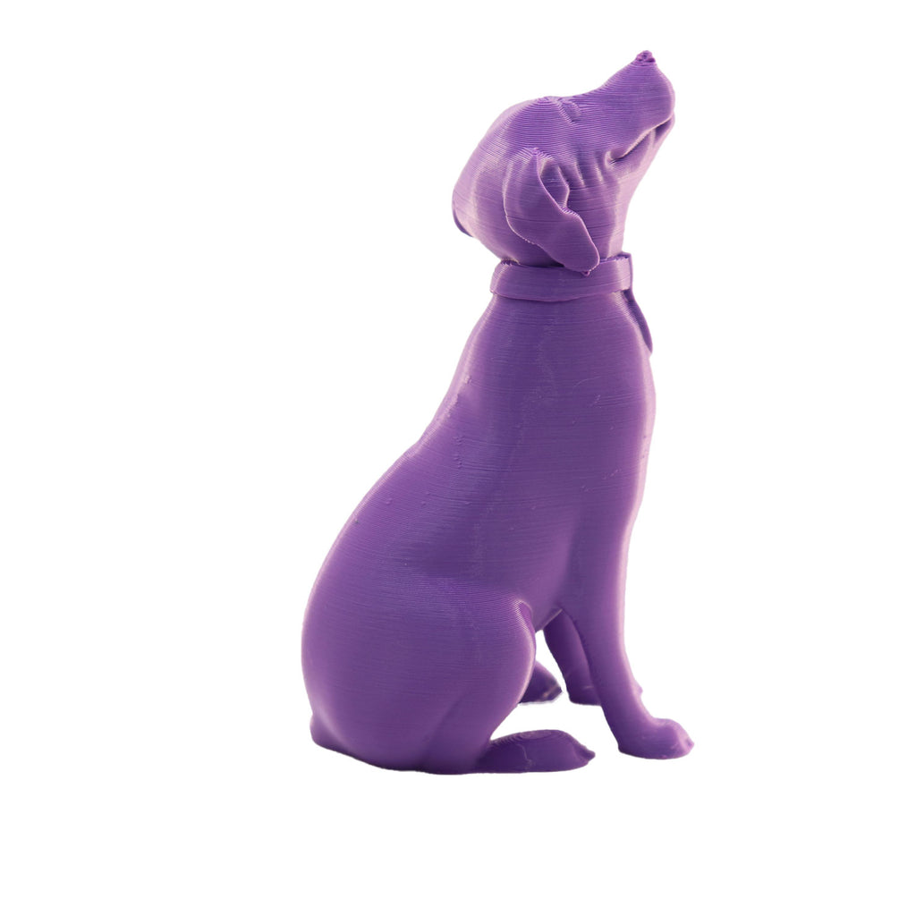 Jessie Premium PLA 1.75mm X Purple Eater 1kg