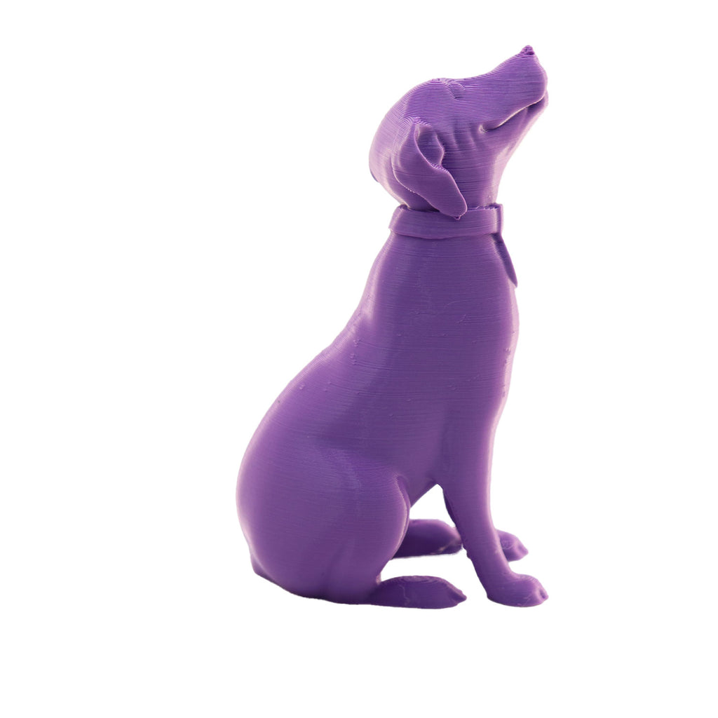 Jessie Premium PLA 1.75mm X Purple Eater 1kg