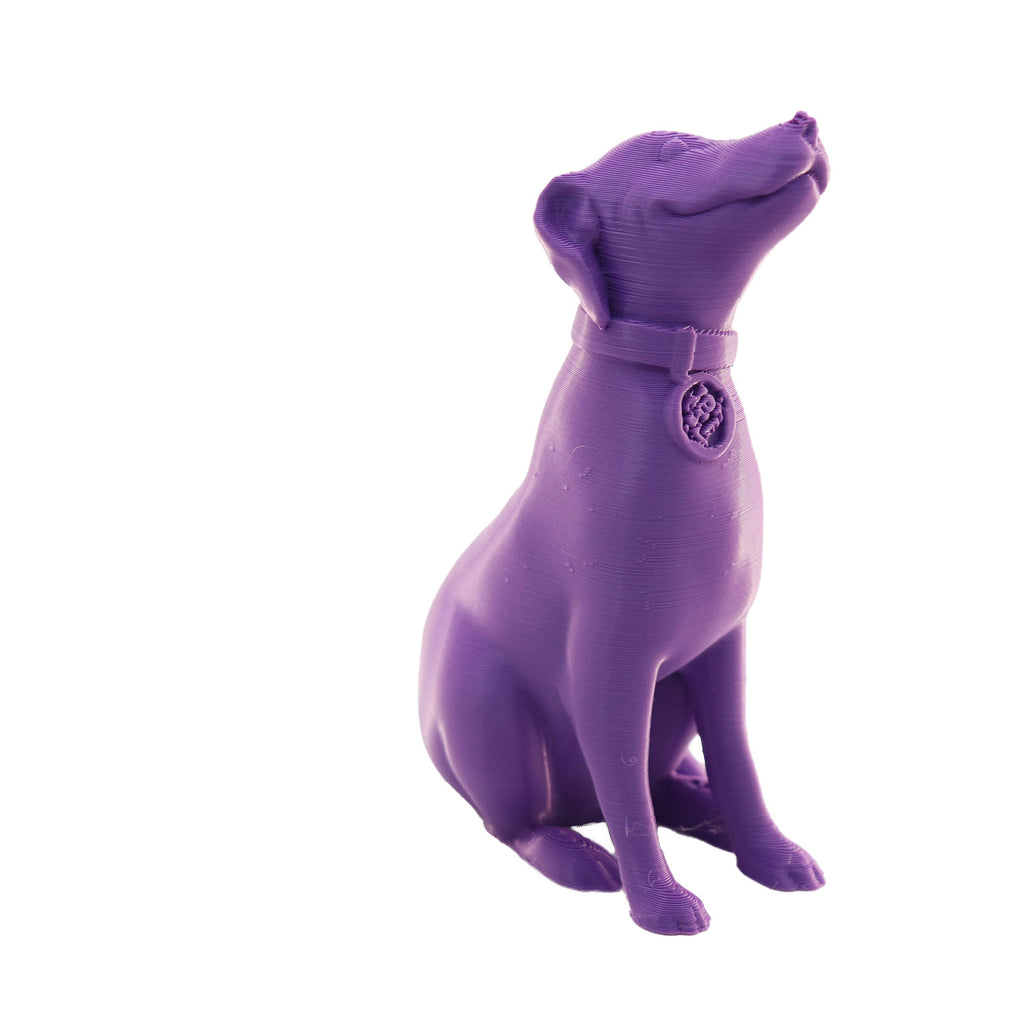 Jessie Premium PLA 1.75mm X Purple Eater 1kg