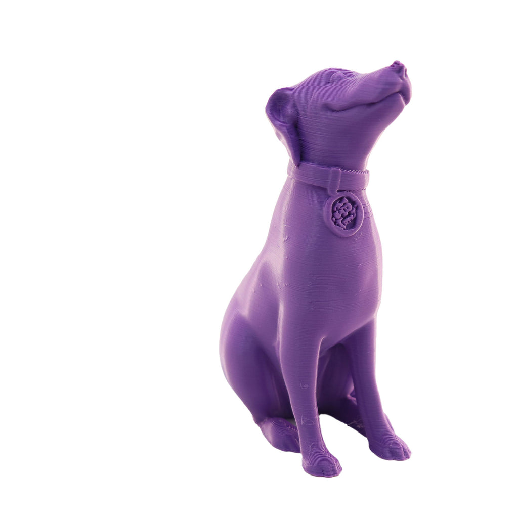 Jessie Premium PLA 1.75mm X Purple Eater 1kg