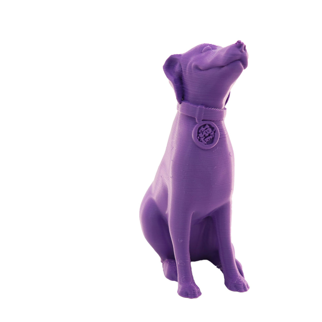 Jessie Premium PLA 1.75mm X Purple Eater 1kg