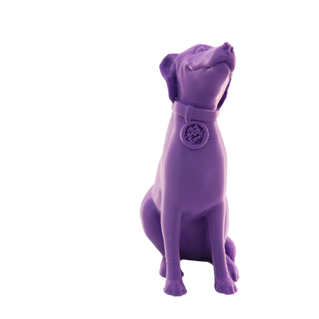 Jessie Premium PLA 1.75mm X Purple Eater 1kg