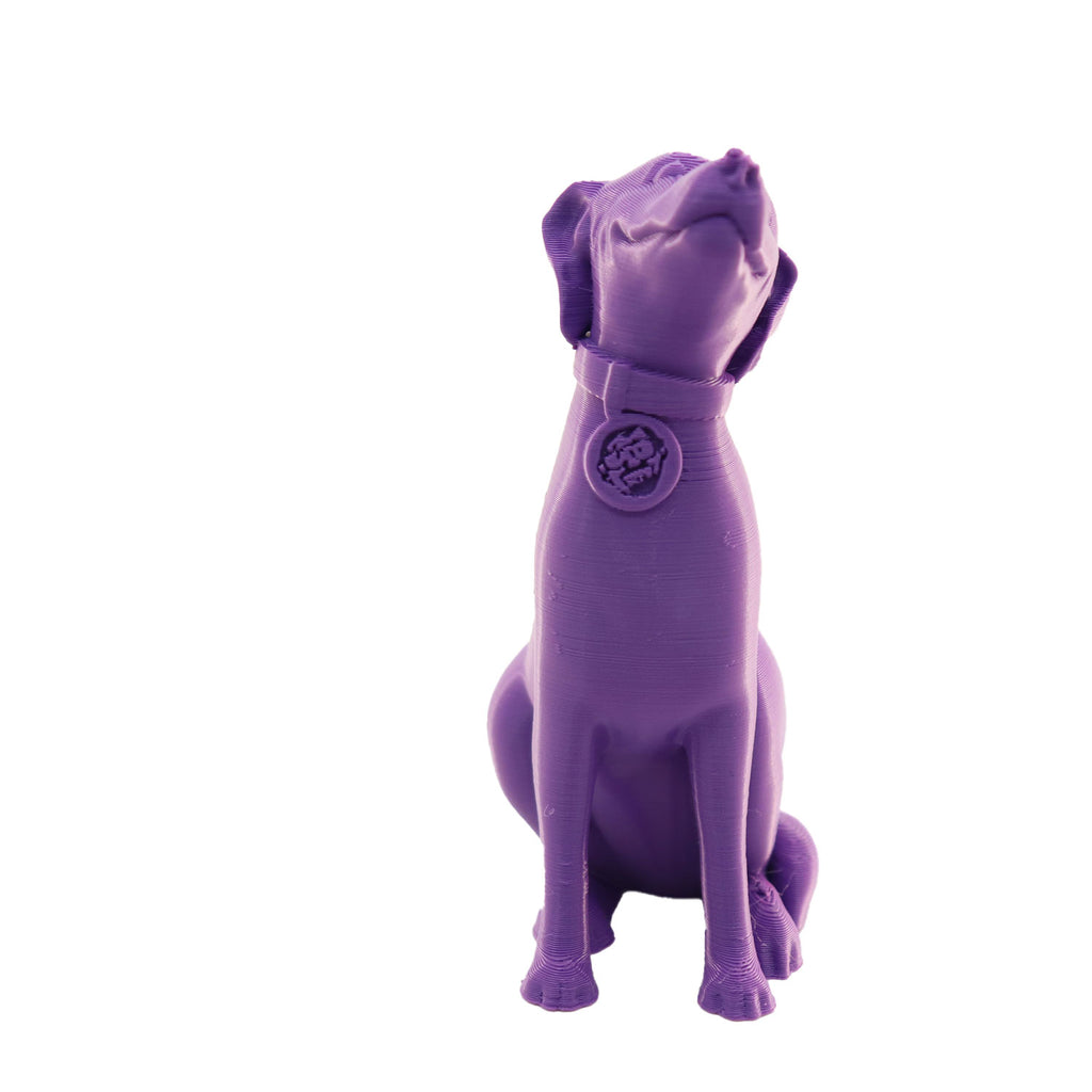 Jessie Premium PLA 1.75mm X Purple Eater 1kg