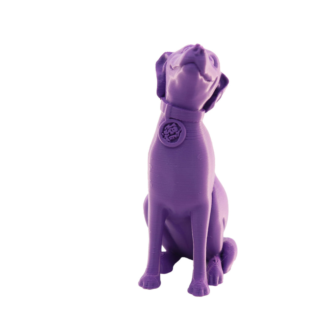 Jessie Premium PLA 1.75mm X Purple Eater 1kg