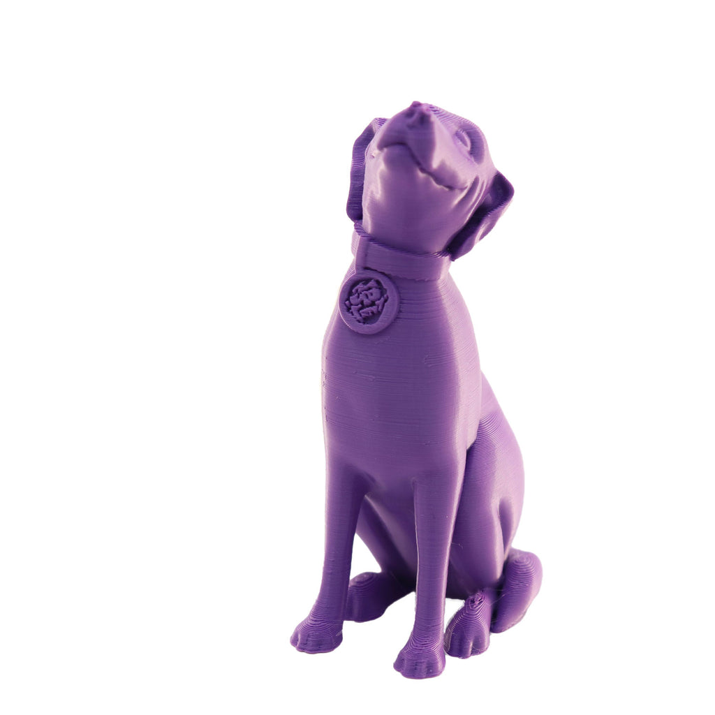 Jessie Premium PLA 1.75mm X Purple Eater 1kg